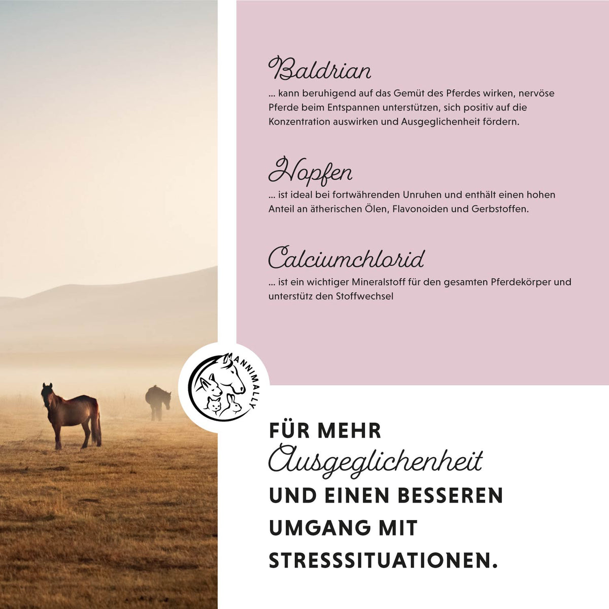 Relax Liquid zur natürlichen Beruhigung – Futtertopping für Pferde
