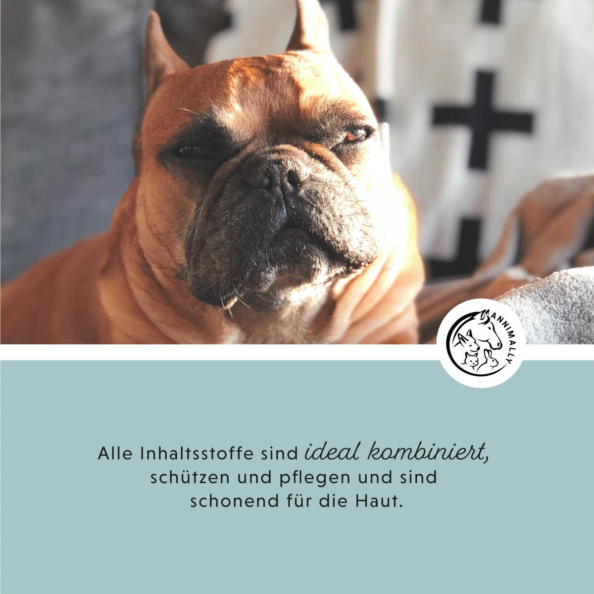 Skin Care Pro für gesunde Haut – Tierpflege für Hunde, Katzen, Pferde & Kleintiere