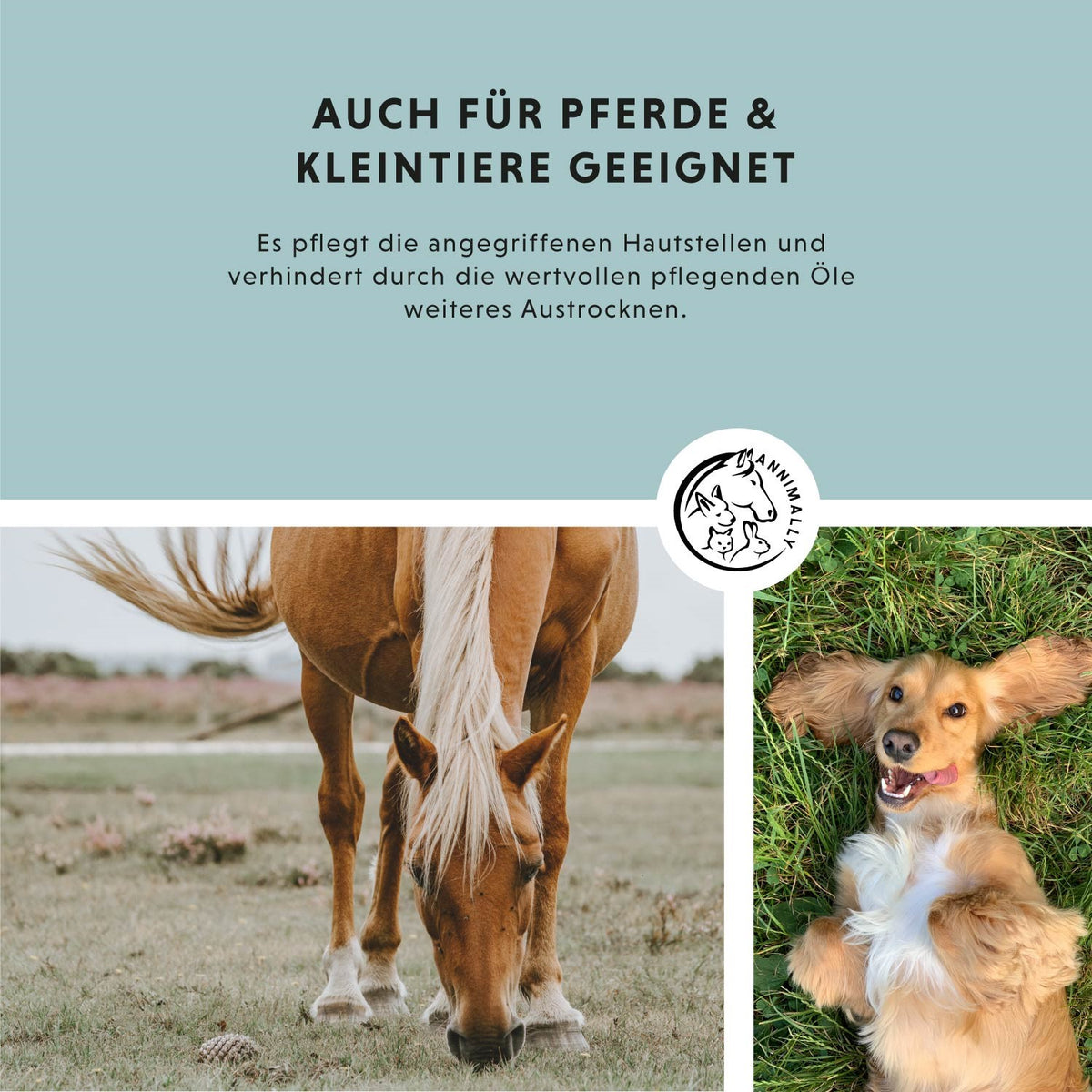Skin Care Pro für Hunde, Katzen, Pferde & Kleintiere – natürliche Pflege für gesunde Haut | Annimally