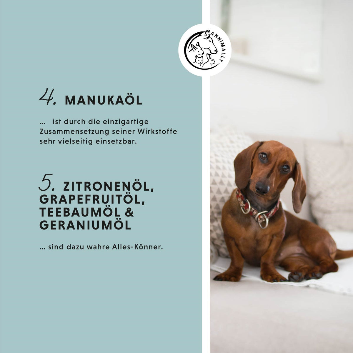 Skin Care Pro für Hunde, Katzen, Pferde & Kleintiere – Tierpflege für gesunde Haut | Annimally