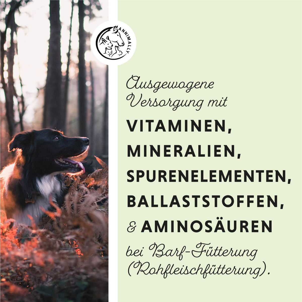 Super Barf mit Vitaminen & Mineralien zum Barfen – Futterzusatz für Hunde