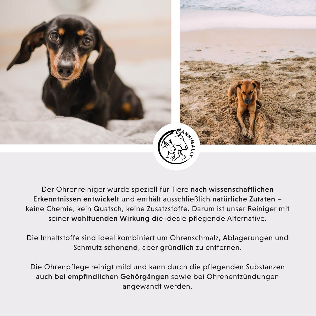 Tierpflege für Hunde, Katzen, Pferde & Kleintiere: Ohrenreiniger