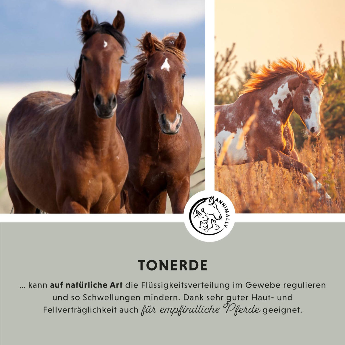 Tonerde Paste für Pferde – natürliche Pflege mit Mineralerde, Arnika & Kamille | Annimally