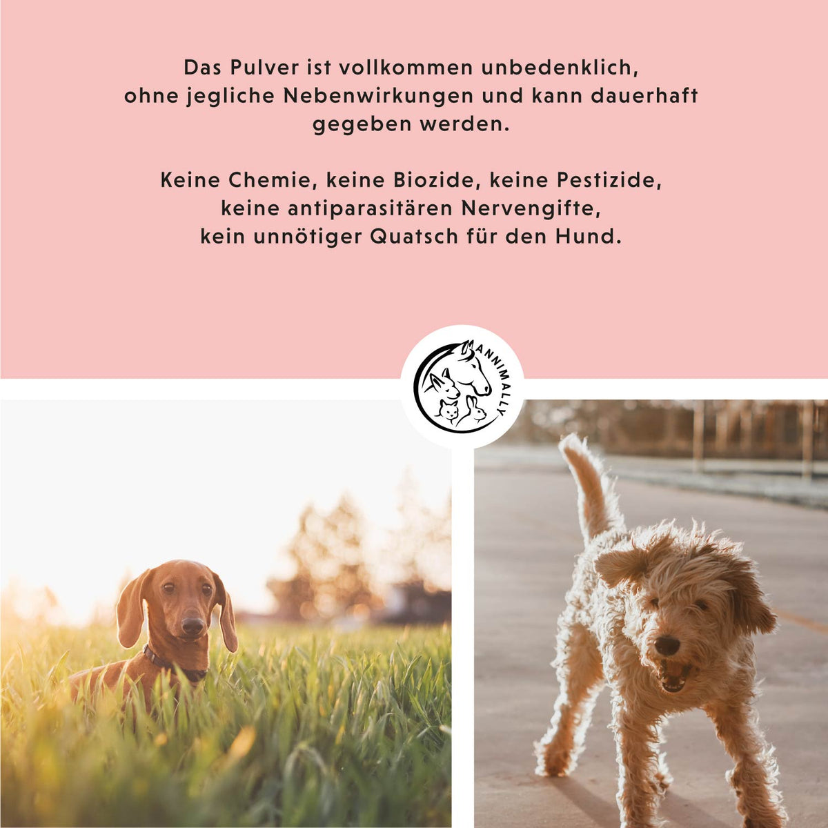 Zec McWeg von Annimally für natürlichen Zeckenschutz von innen – Futtertopping für Hunde