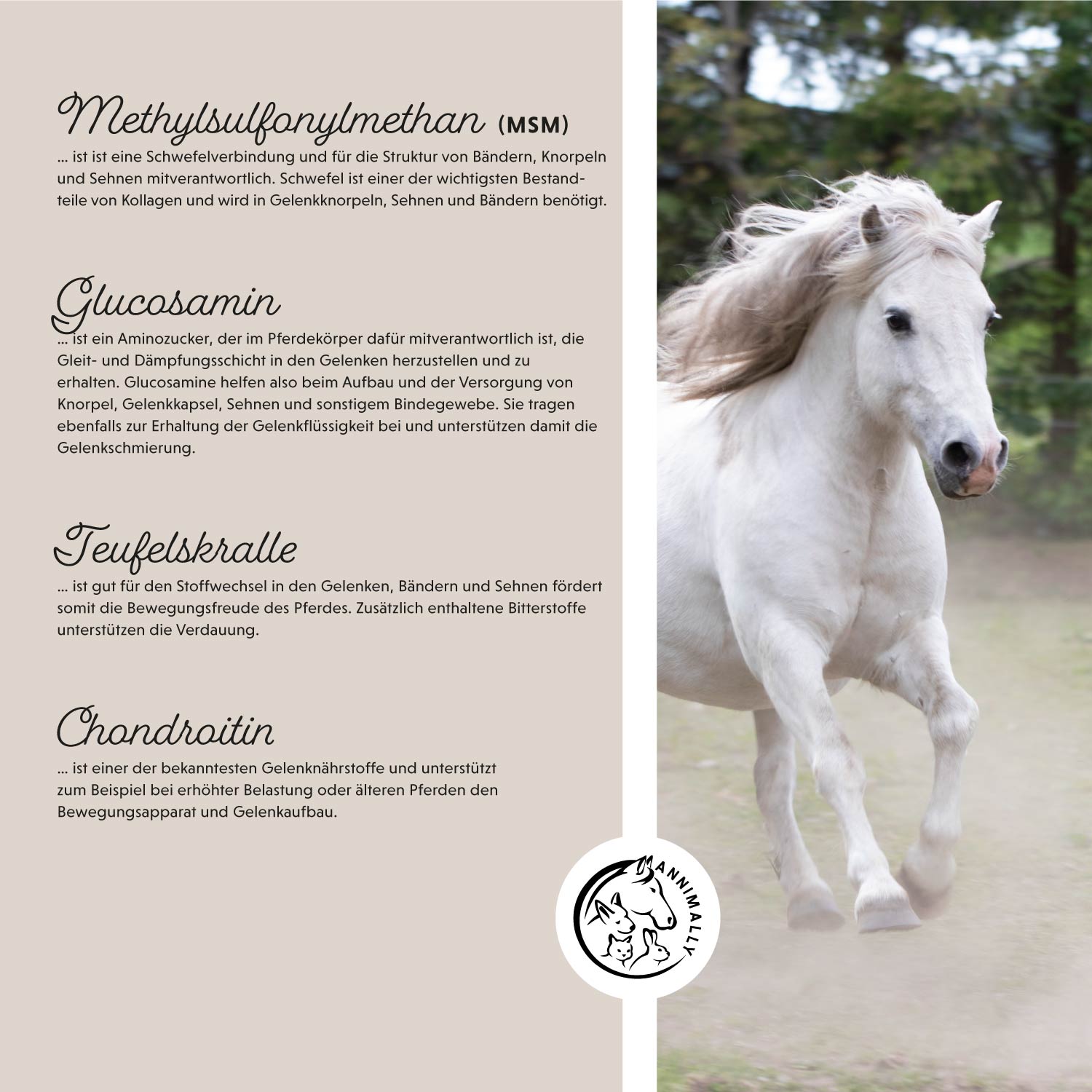 vreugde van beweging