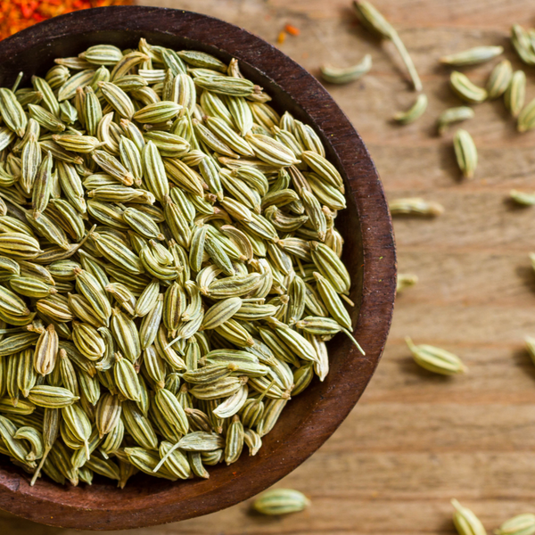 Fenchel für Pferde: Die unterschätzte Heilpflanze für Gesundheit, Verdauung und Atemwege