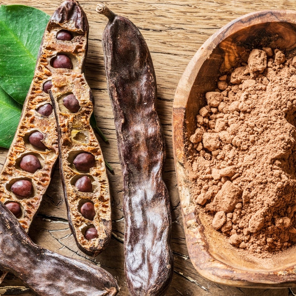 Johannisbrotkern fürs Pferd – Die natürliche Unterstützung für Verdauung, Energie und Gesundheit