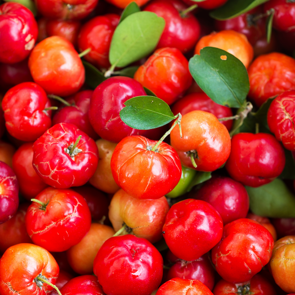 Acerola fürs Pferd: Wie die Power-Kirsche Dein Pferd rundum unterstützt