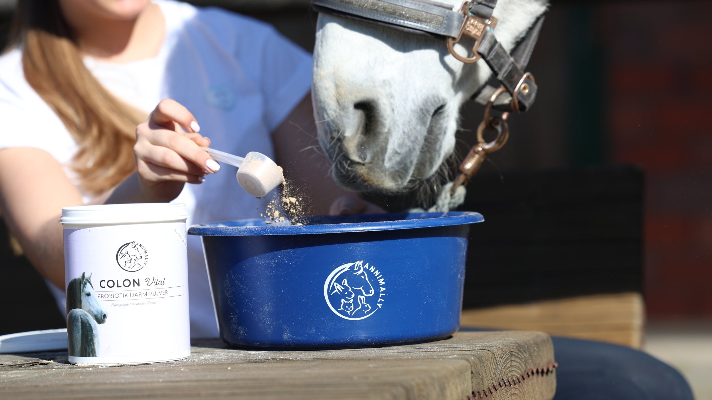 Entspannter Start in die Weidesaison für Dein Pferd