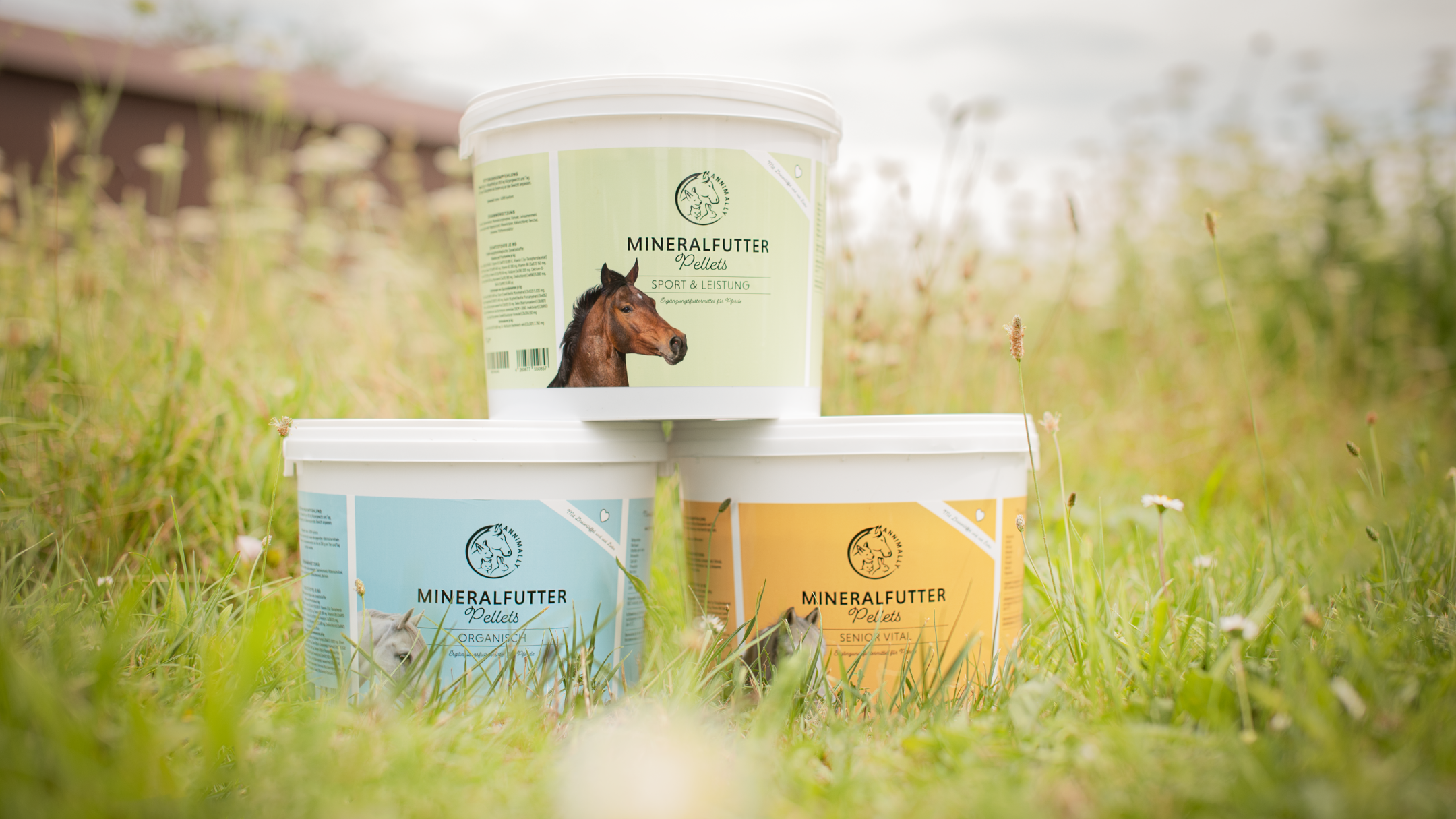 Mineralfutter für Pferde
