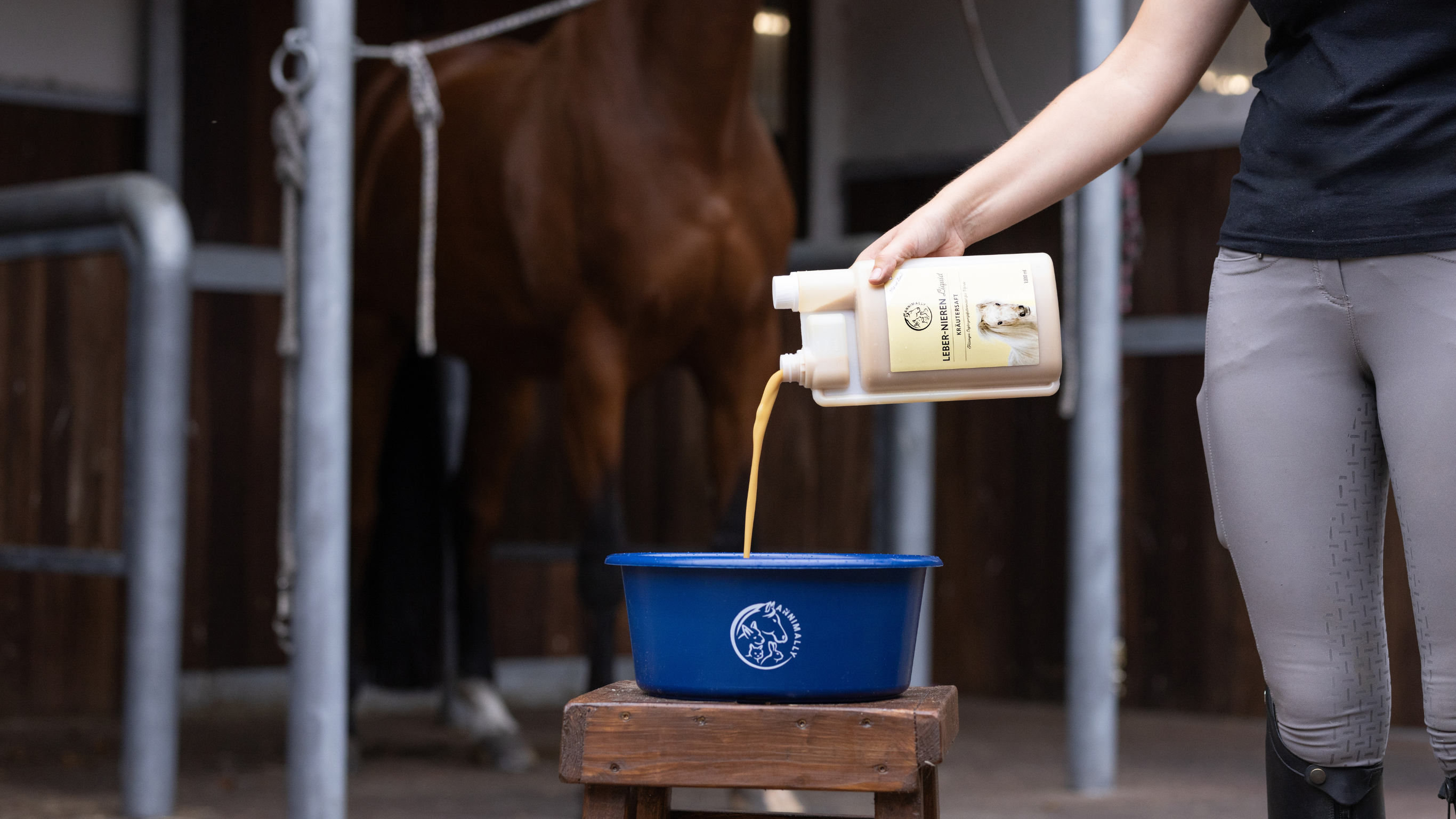 Futterzusätze für den Stoffwechsel von Pferden