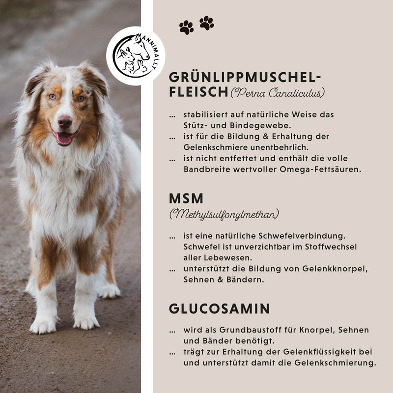 gewrichtstabletten