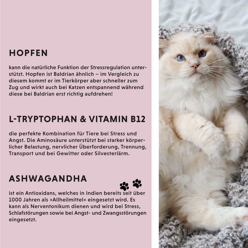 Ontspan Vloeistof