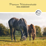 Lever-niervloeistof