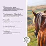 Colon Vital Pulver