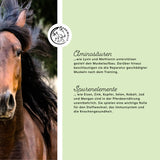 Minerale voeding Sport &amp; Prestatie