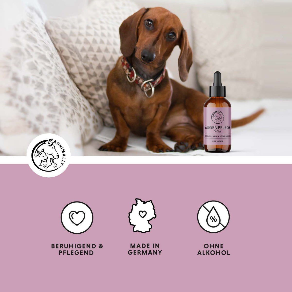 Augenpflege Plus mit Euphrasia & Rosenwasser für Hunde – natürliche Pflege | Annimally