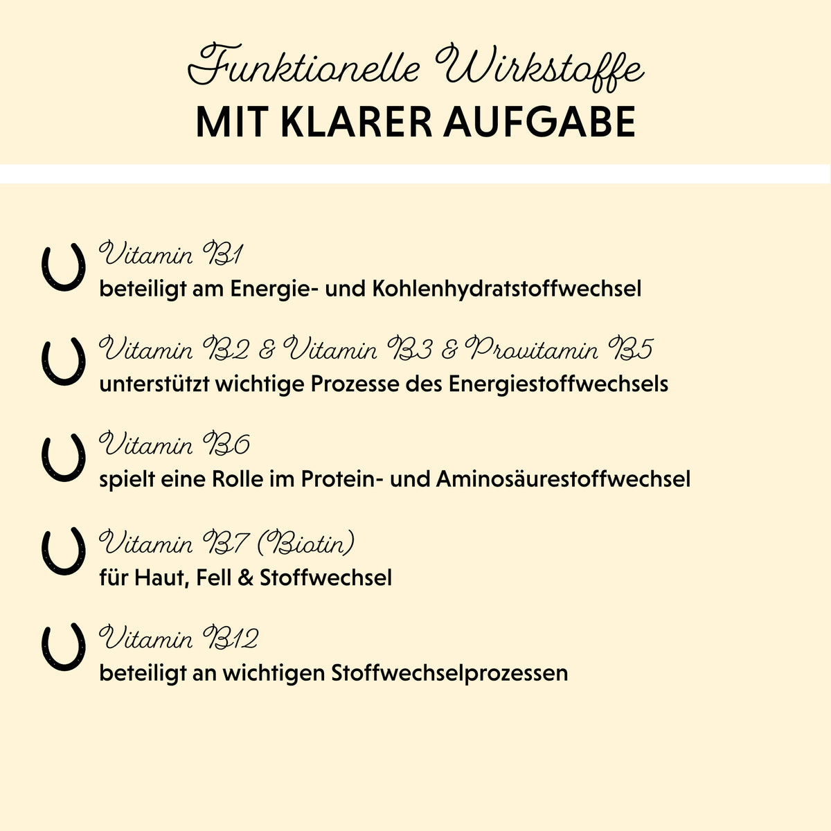 B-Komplex Liquid von Annimally mit B-Vitaminen – Futtertopping für Haustiere