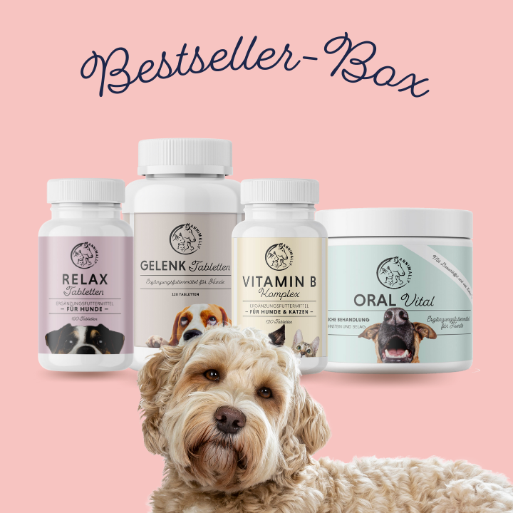 Bestseller-Box für Hunde & Katzen mit den beliebtesten Produkten – Set mit Nahrungsergänzungsmitteln von Annimally