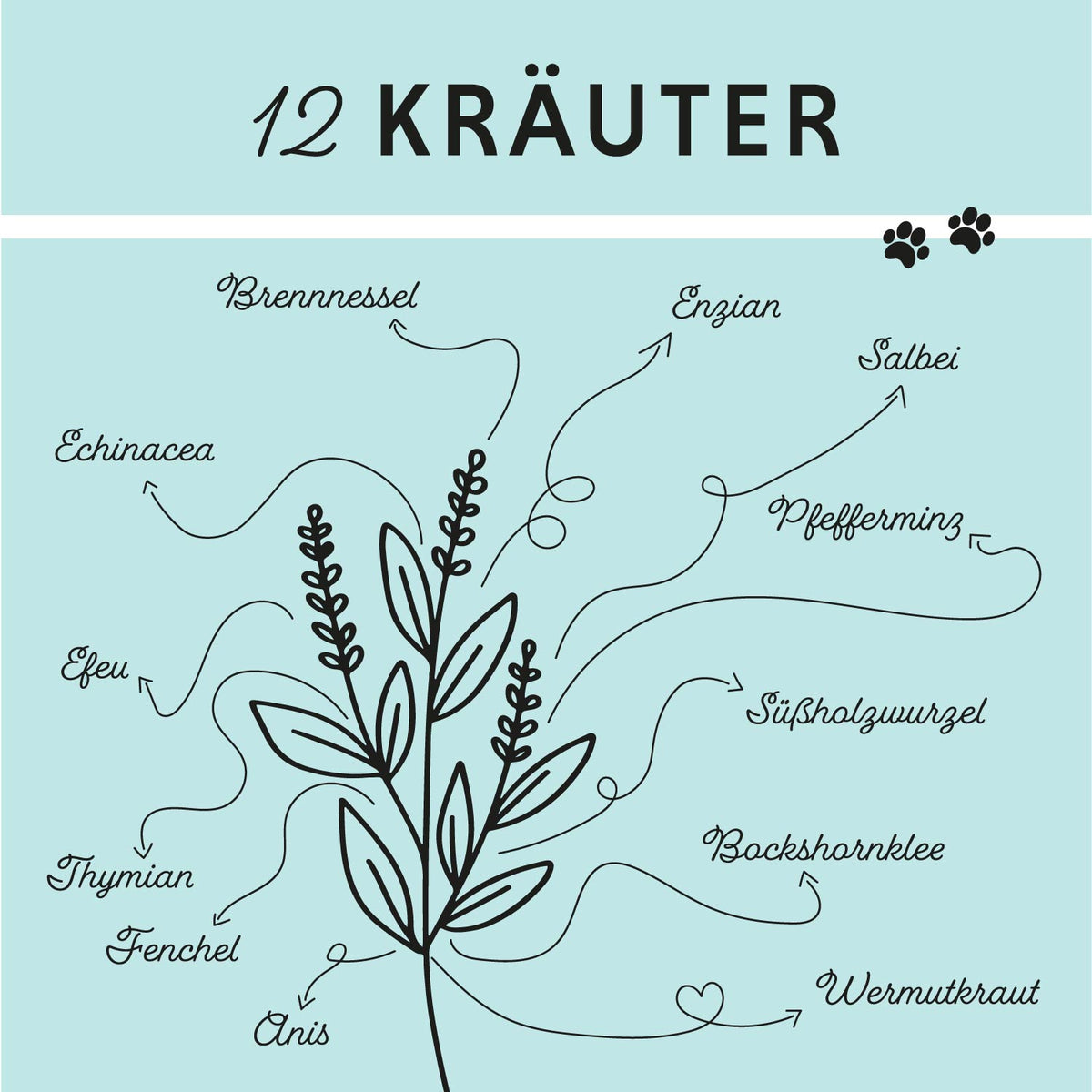 Bronchial Plus für Hunde – Futterergänzung für freie Atemwege | Annimally