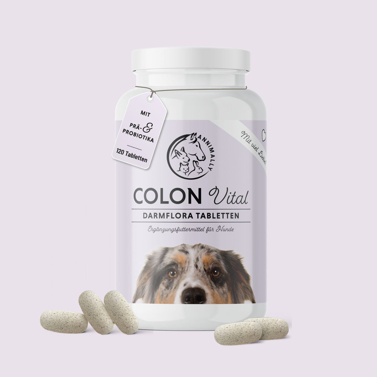 Colon Vital Tabletten für Hunde – Nahrungsergänzungsmittel für eine gesunde Darmflora | Annimally