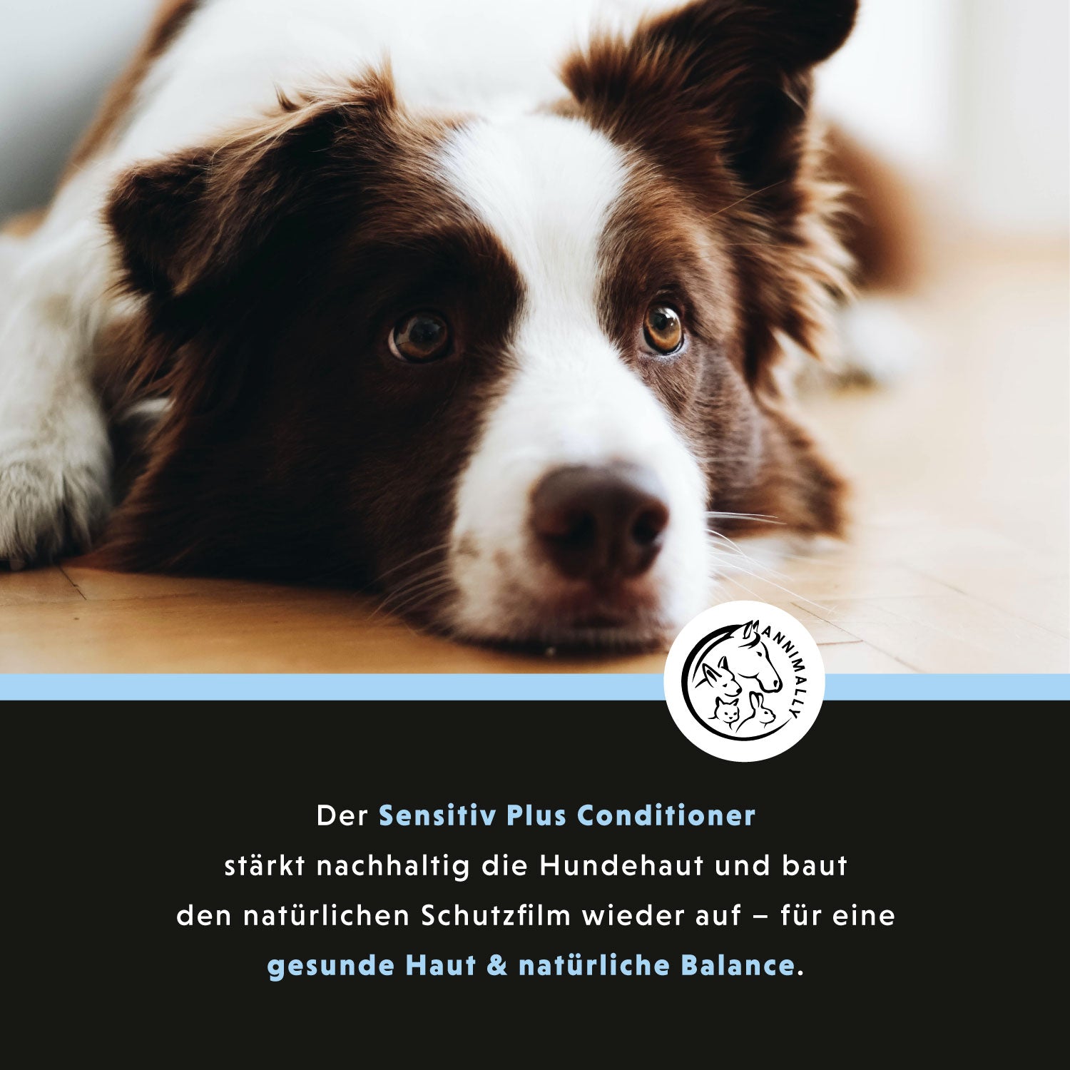 Gevoelige Plus Conditioner