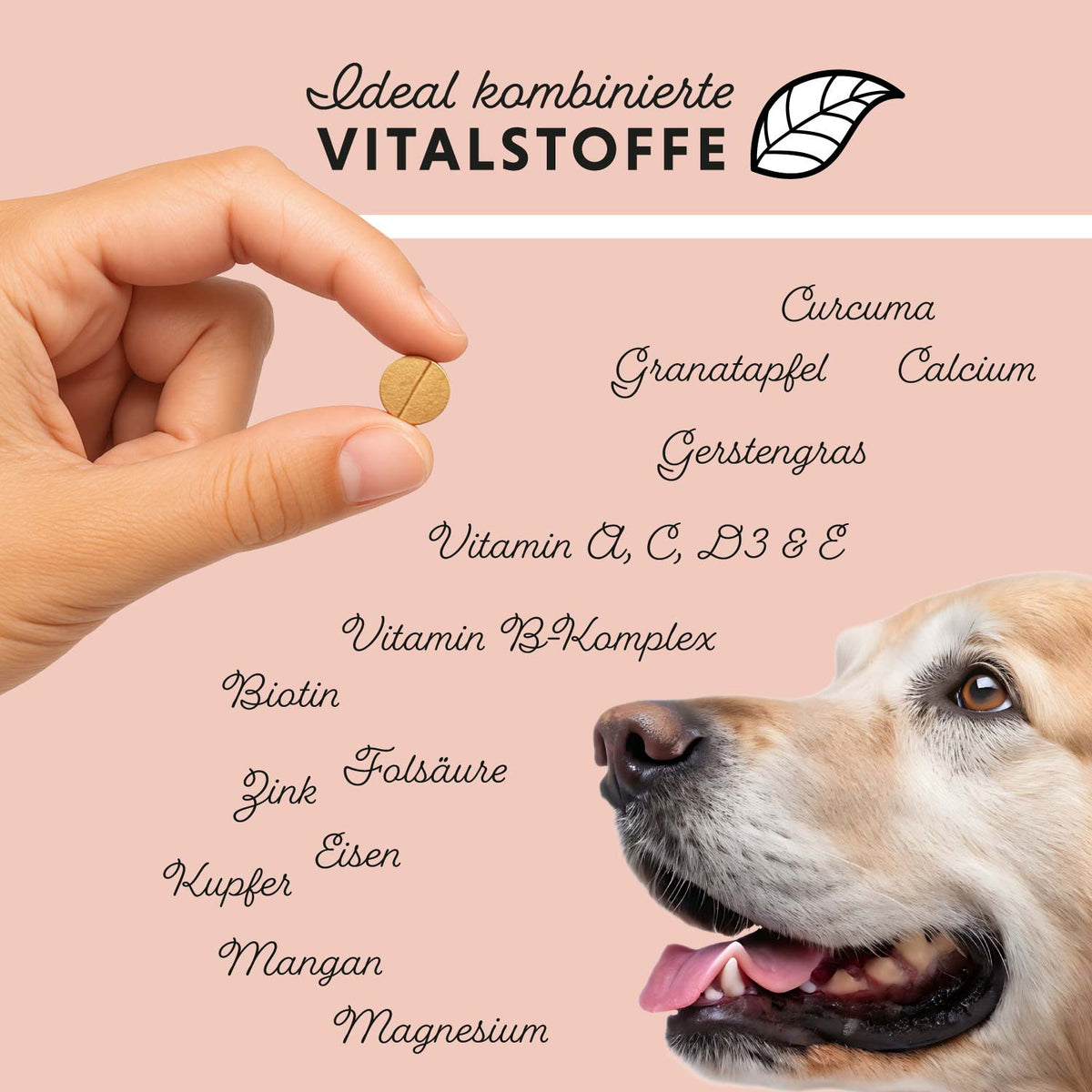 Dog's Daily von Annimally für die tägliche Versorgung – Futtertopping für Hunde