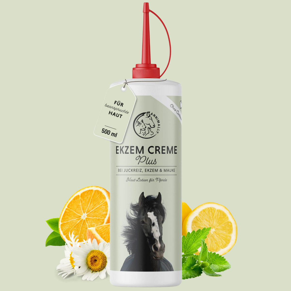 Ekzem Creme Plus für Pferde – Pflegeprodukt bei Sommerekzem | Annimally