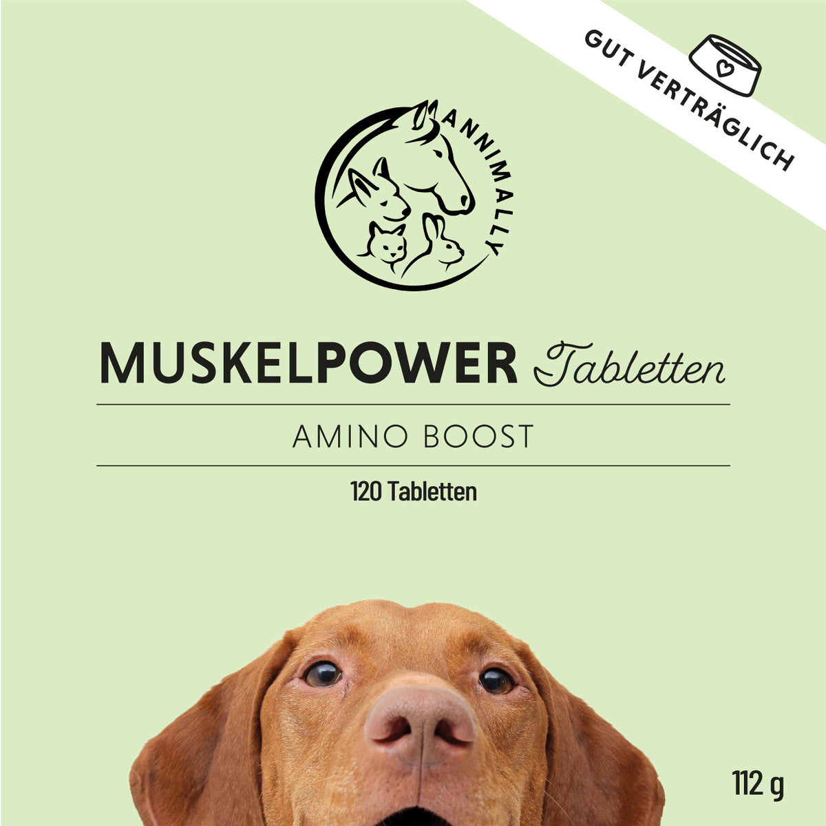 Futterergänzung für Hunde: Muskelpower Tabletten