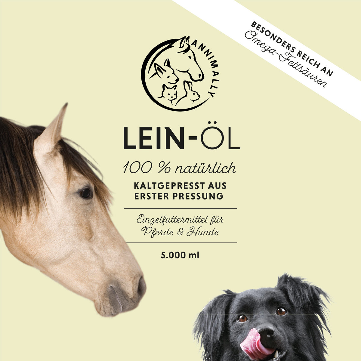 Futterergänzung für Pferde: Leinöl 5 L kaltgepresst mit Omega-3