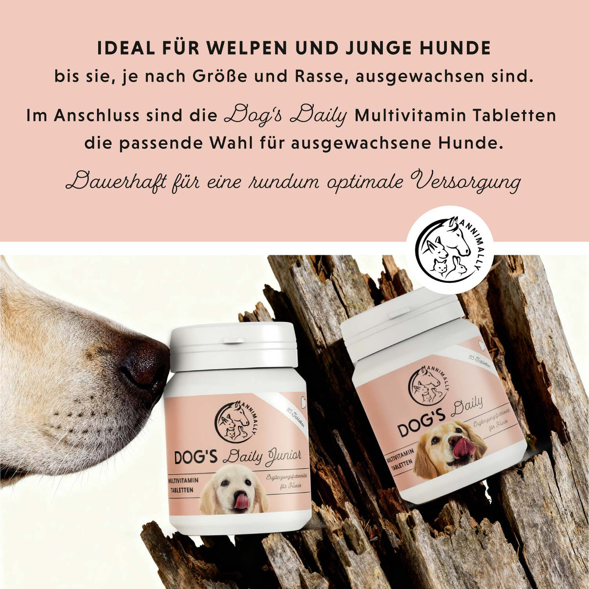Futterzusatz für Hunde: Dog‘s Daily Junior für Welpen & Junghunde