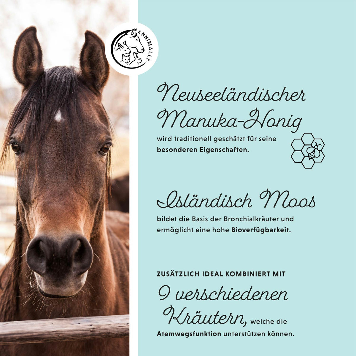 Futterzusatz für Pferde: Bronchial Liquid für freie Atemwege