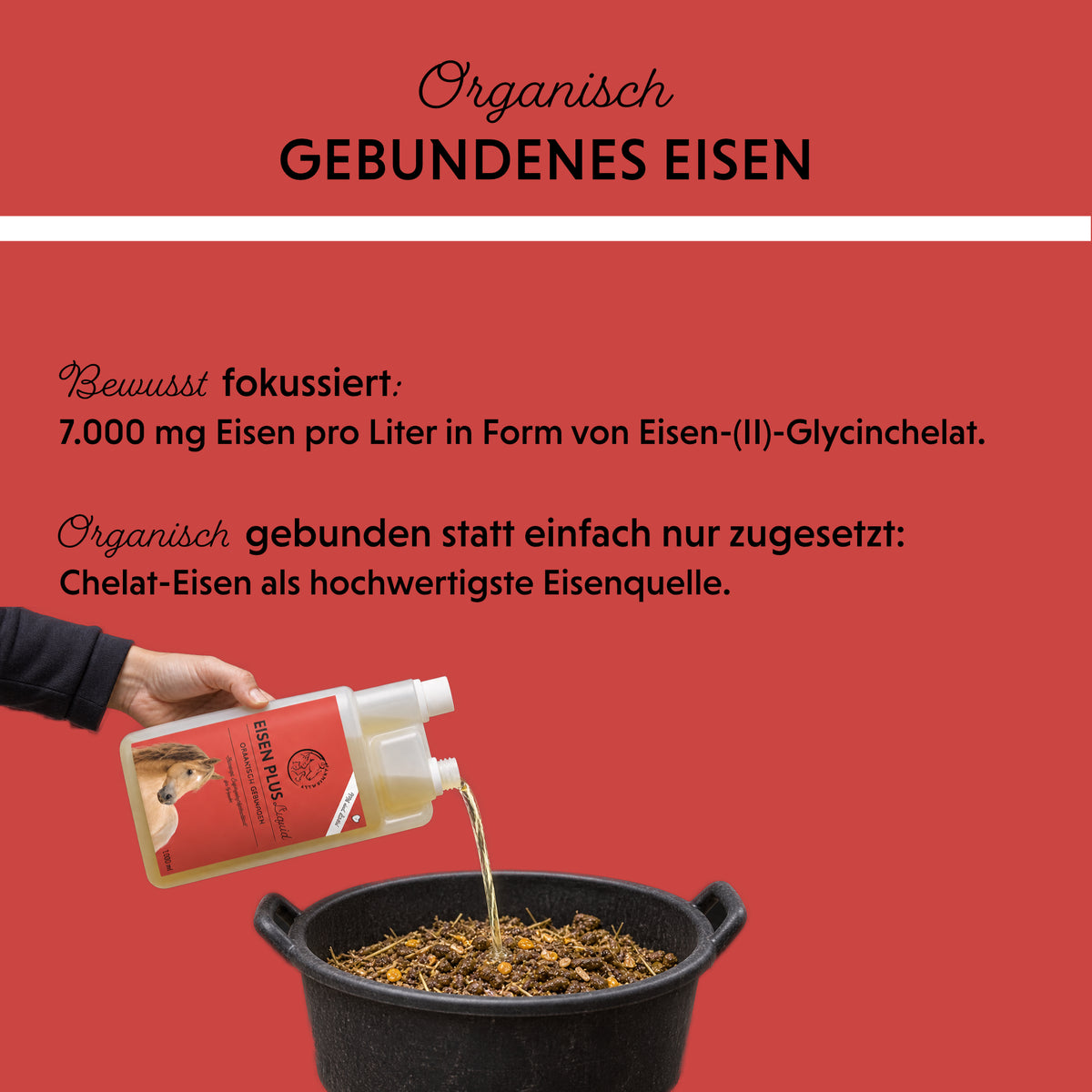 Futterzusatz für Pferde: Eisen Liquid