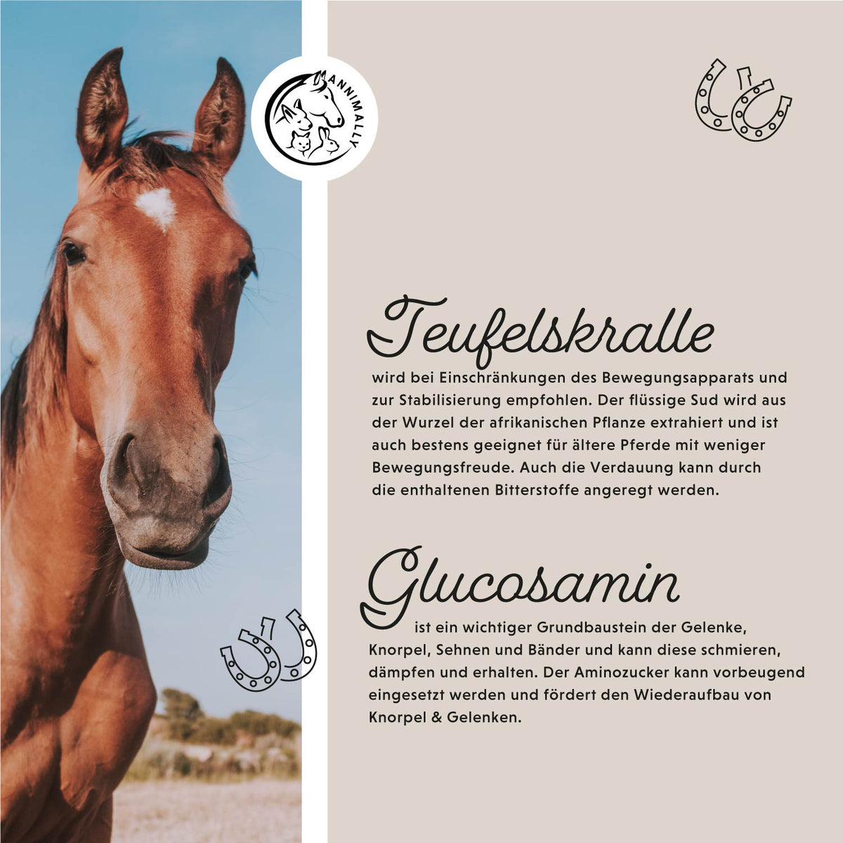 Futterzusatz für Pferde: Gelenk Liquid