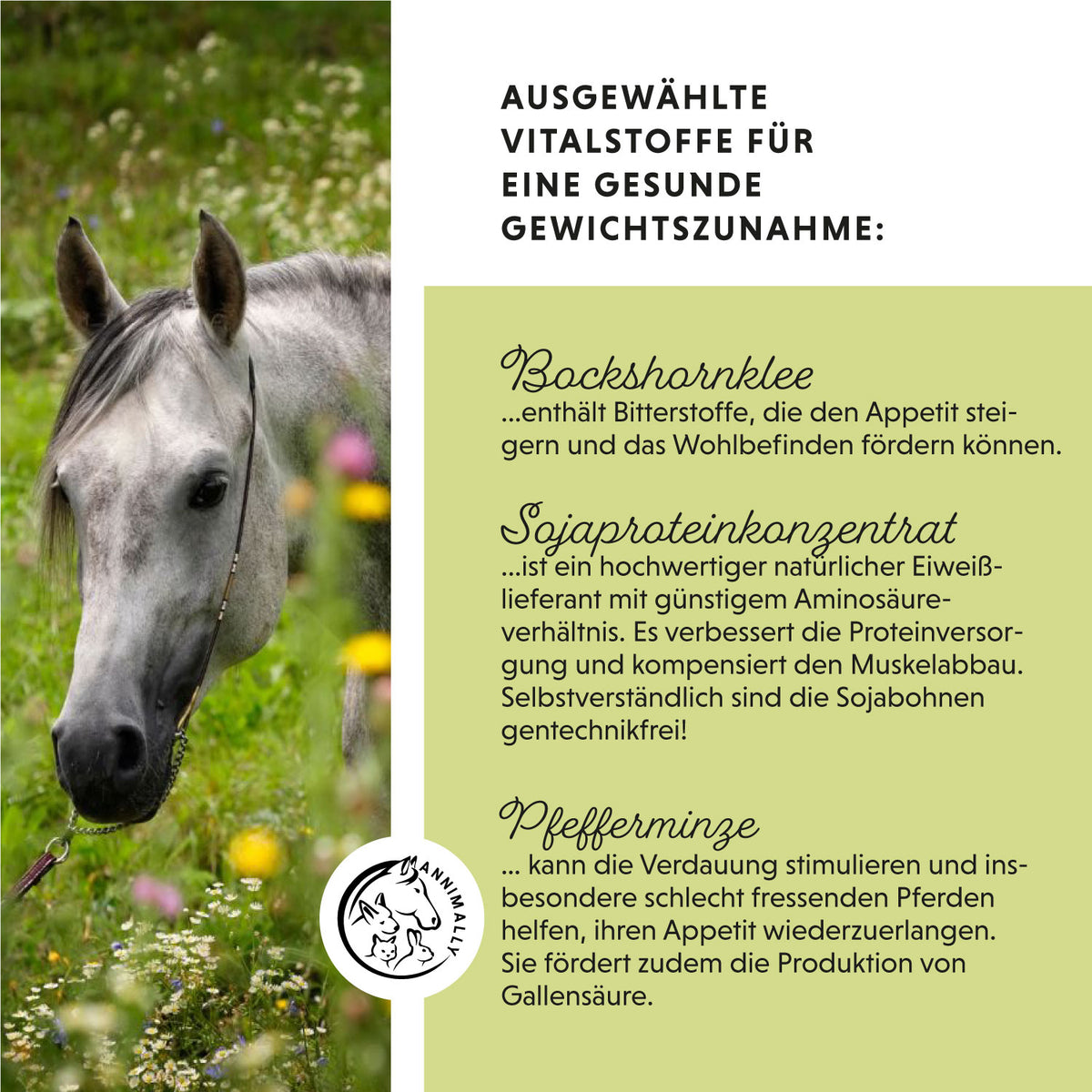 Futterzusatz für Pferde: Weight Gainer Konzentrat für gesunde Gewichtszunahme