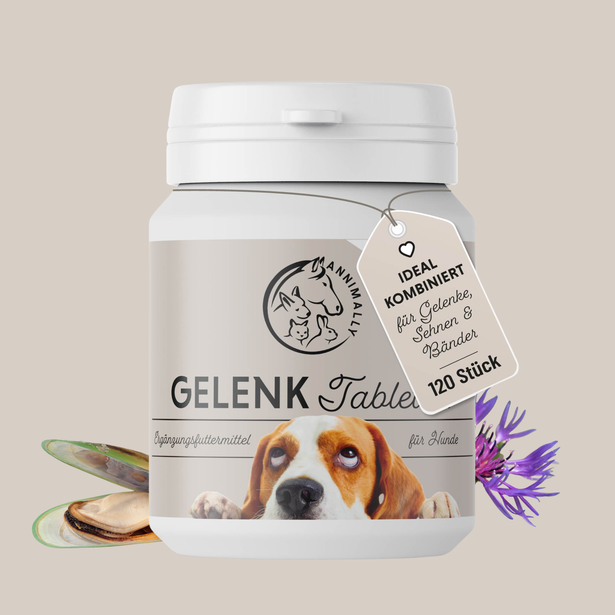 Gelenktabletten für Hunde – Nahrungsergänzungsmittel | Annimally