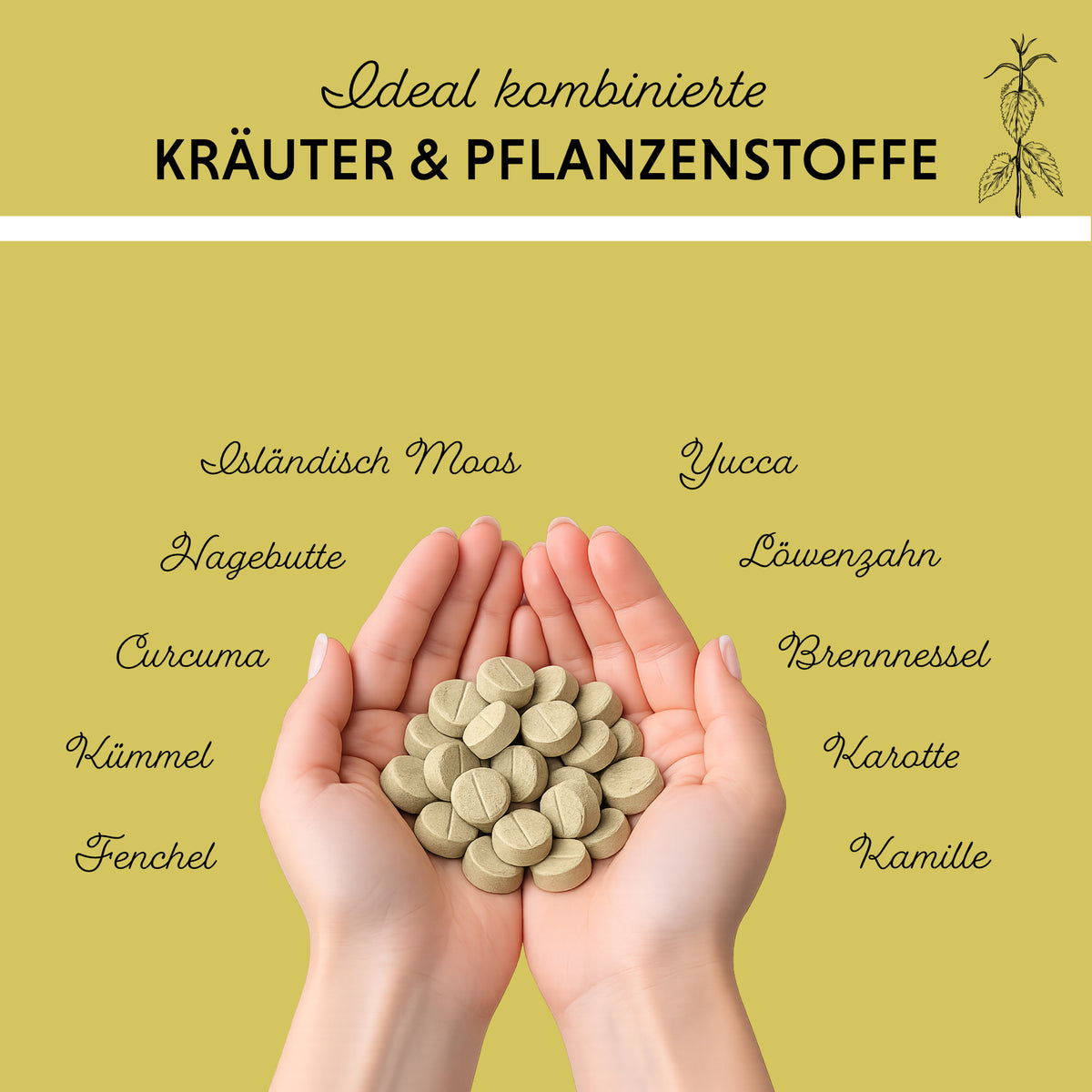 Gras- & Kotfresser Tabletten – Futterzusatz für Hunde – Ansicht 2