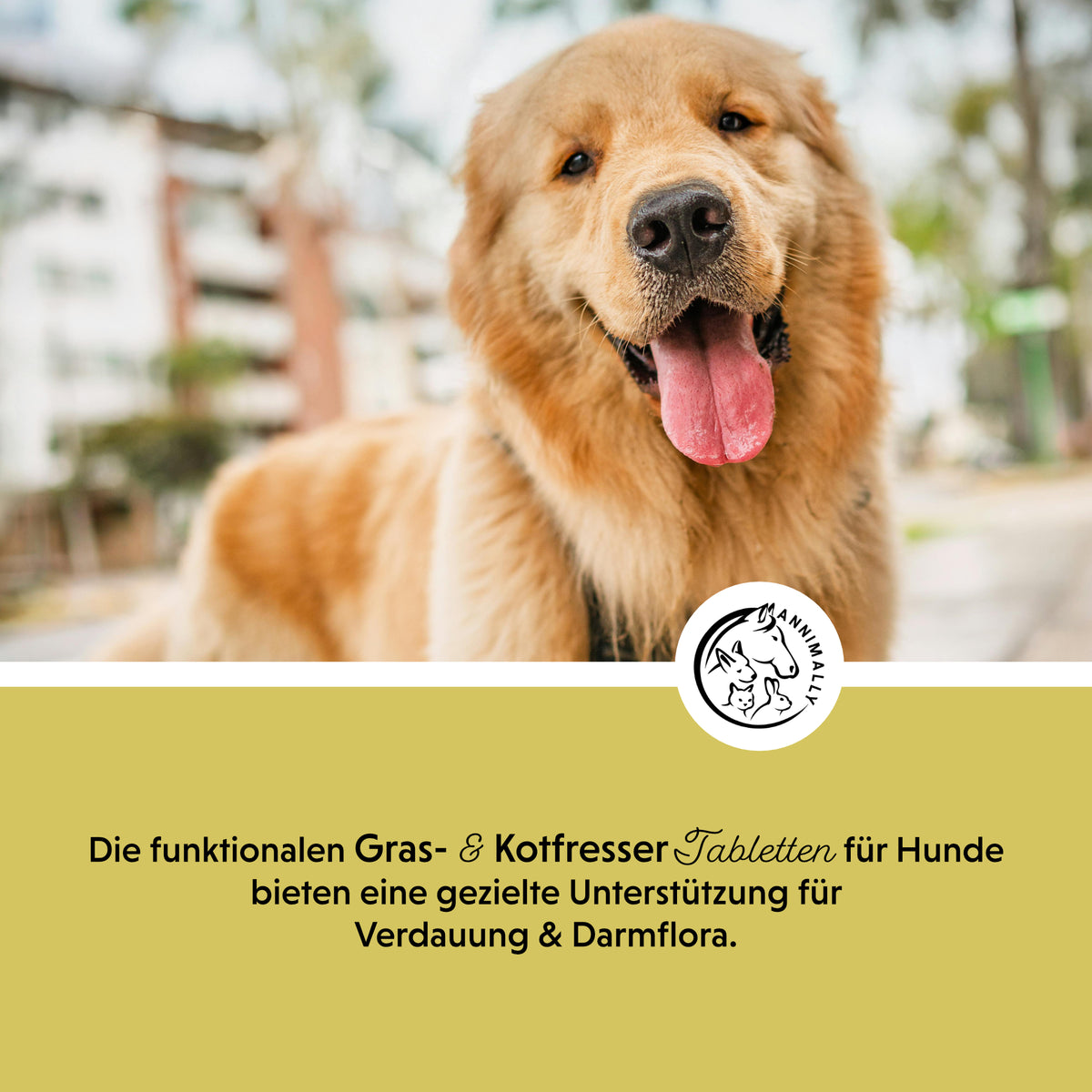 Gras- & Kotfresser Tabletten – Futterzusatz für Hunde