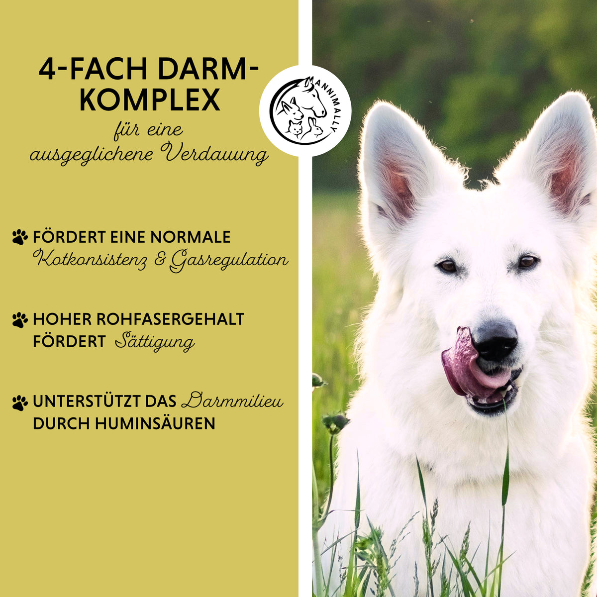Gras- & Kotfresser Tabletten für Hunde – Futterzusatz | Annimally
