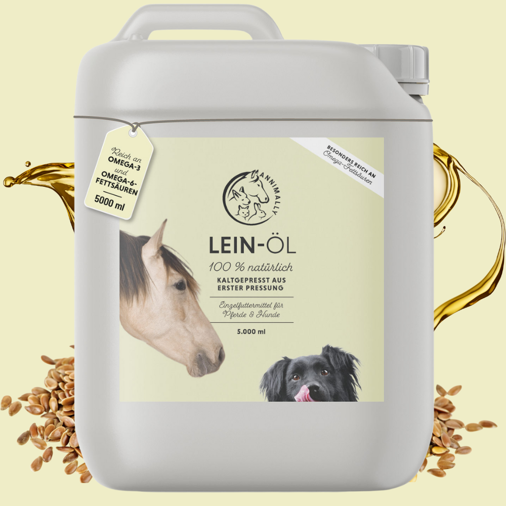 Leinöl 5 L für Pferde – Nahrungsergänzungsmittel kaltgepresst mit Omega-3 | Annimally