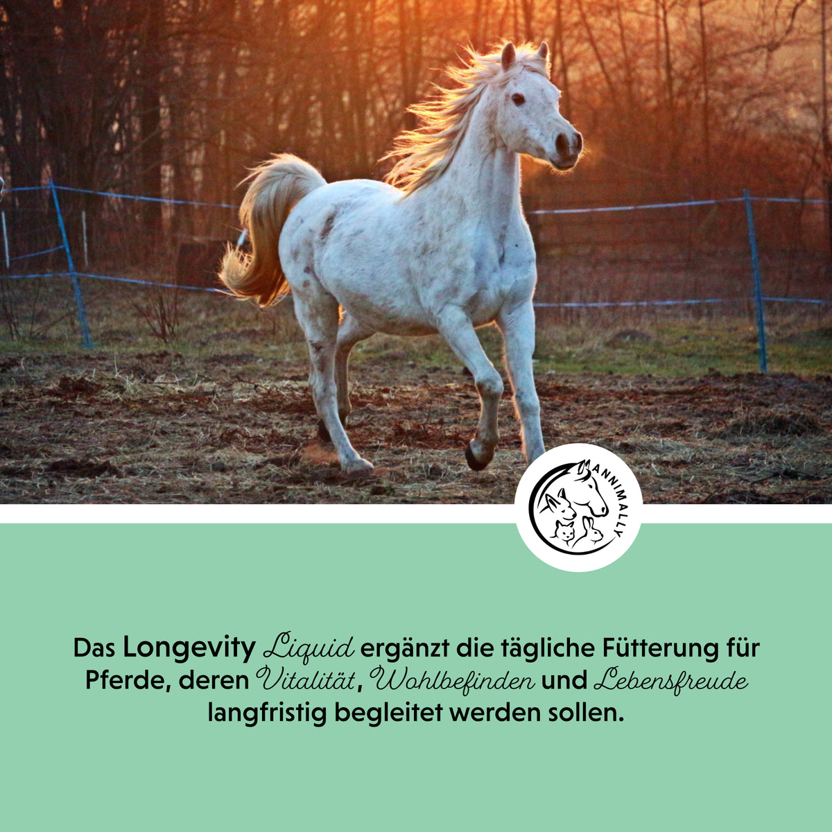 Longevity Liquid