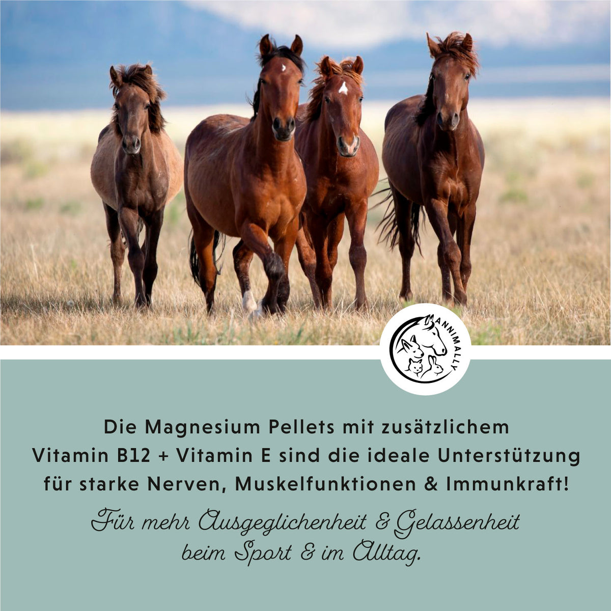 Magnesium Pellets für Nerven & Muskeln – Futterzusatz für Pferde
