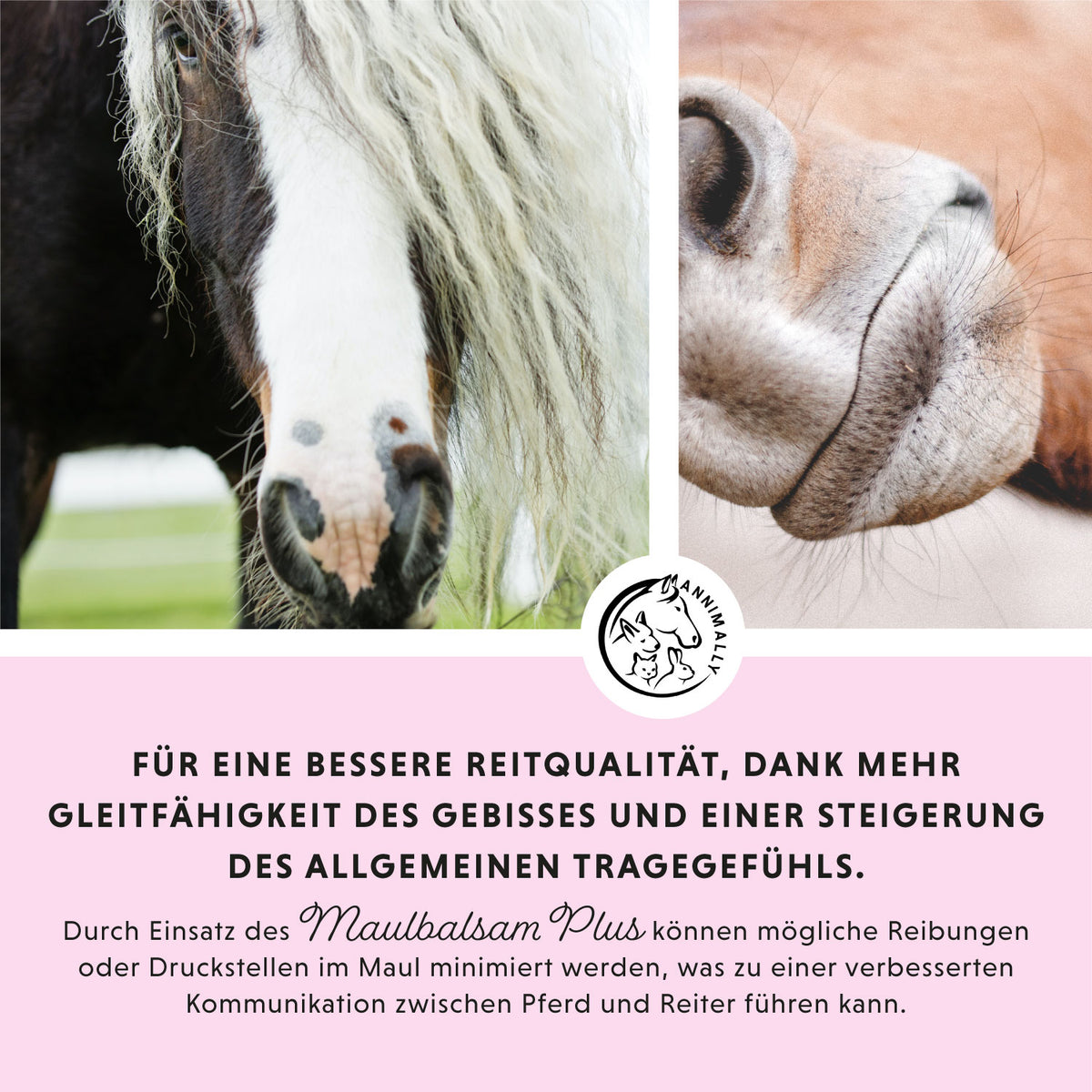 Maulbalsam Plus für Pferde – natürliche Pflege für gepflegte Maulwinkel | Annimally