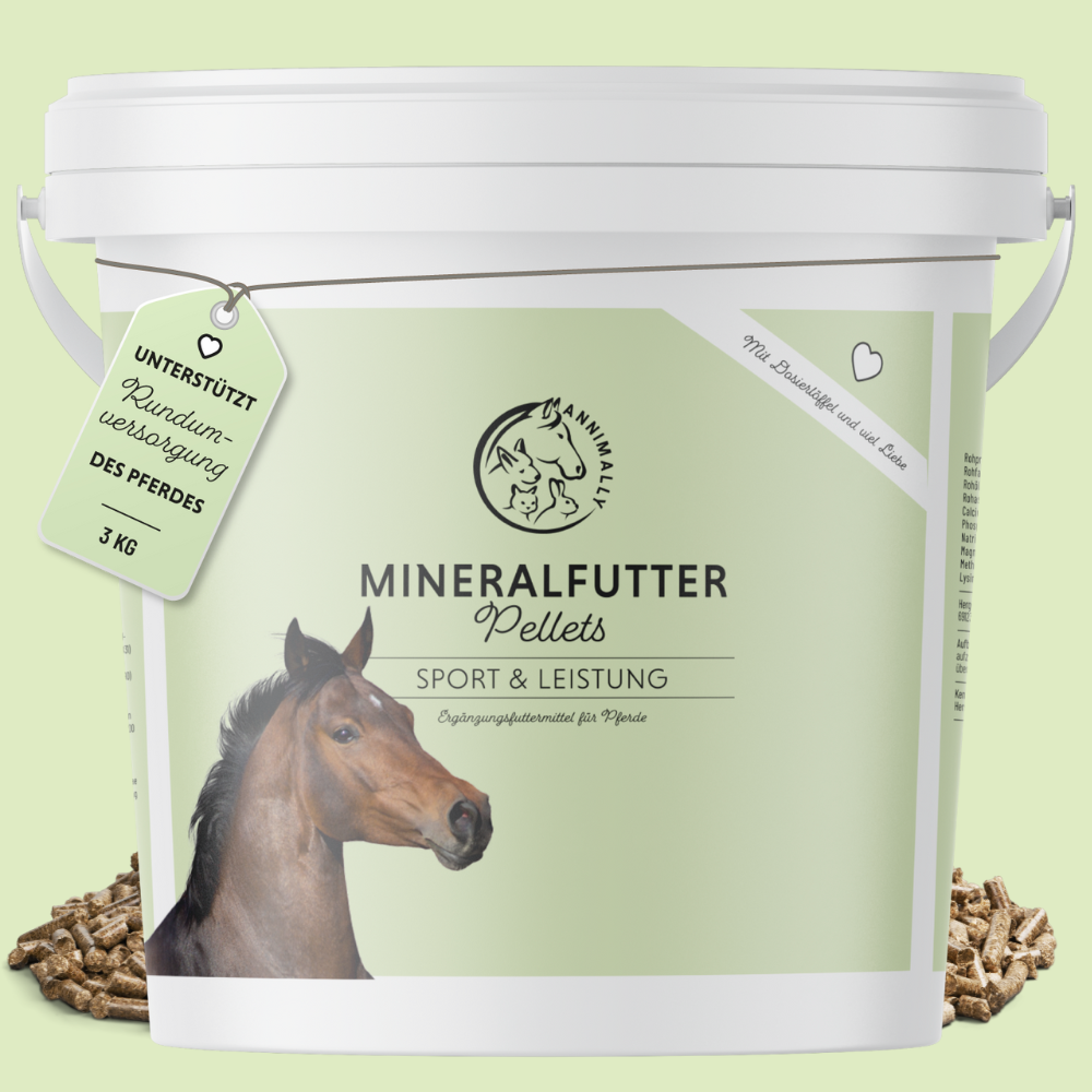 Mineralfutter Sport & Leistung für Pferde – Futterzusatz | Annimally