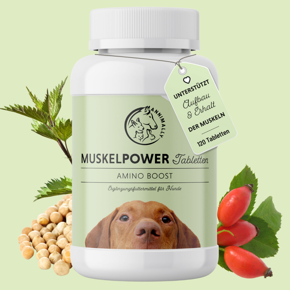 Muskelpower Tabletten für Hunde – Nahrungsergänzungsmittel | Annimally