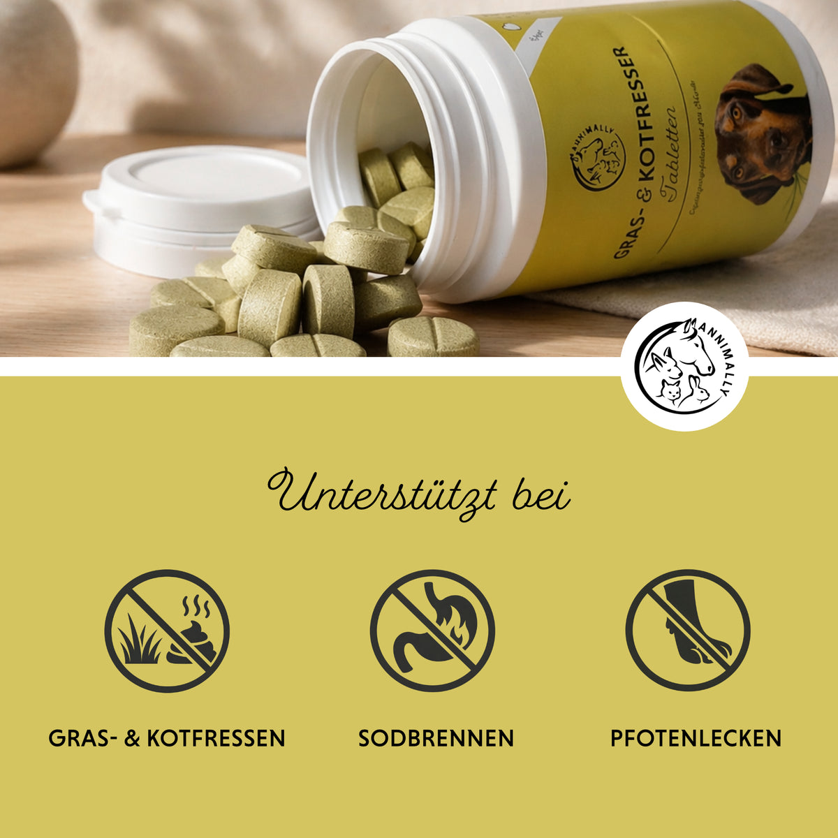 Nahrungsergänzungsmittel für Hunde: Gras- & Kotfresser Tabletten
