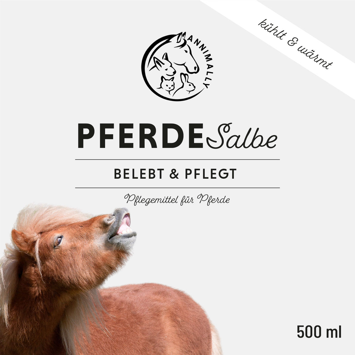 Natürliche Pflege für Pferde: Pferdesalbe für Muskeln, Sehnen & Gelenke