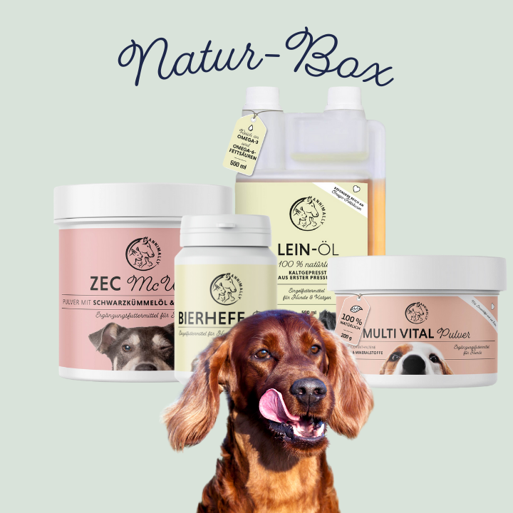 Natur-Box für Hunde mit natürlichen Wirkstoffen – Set mit Nahrungsergänzungsmitteln von Annimally