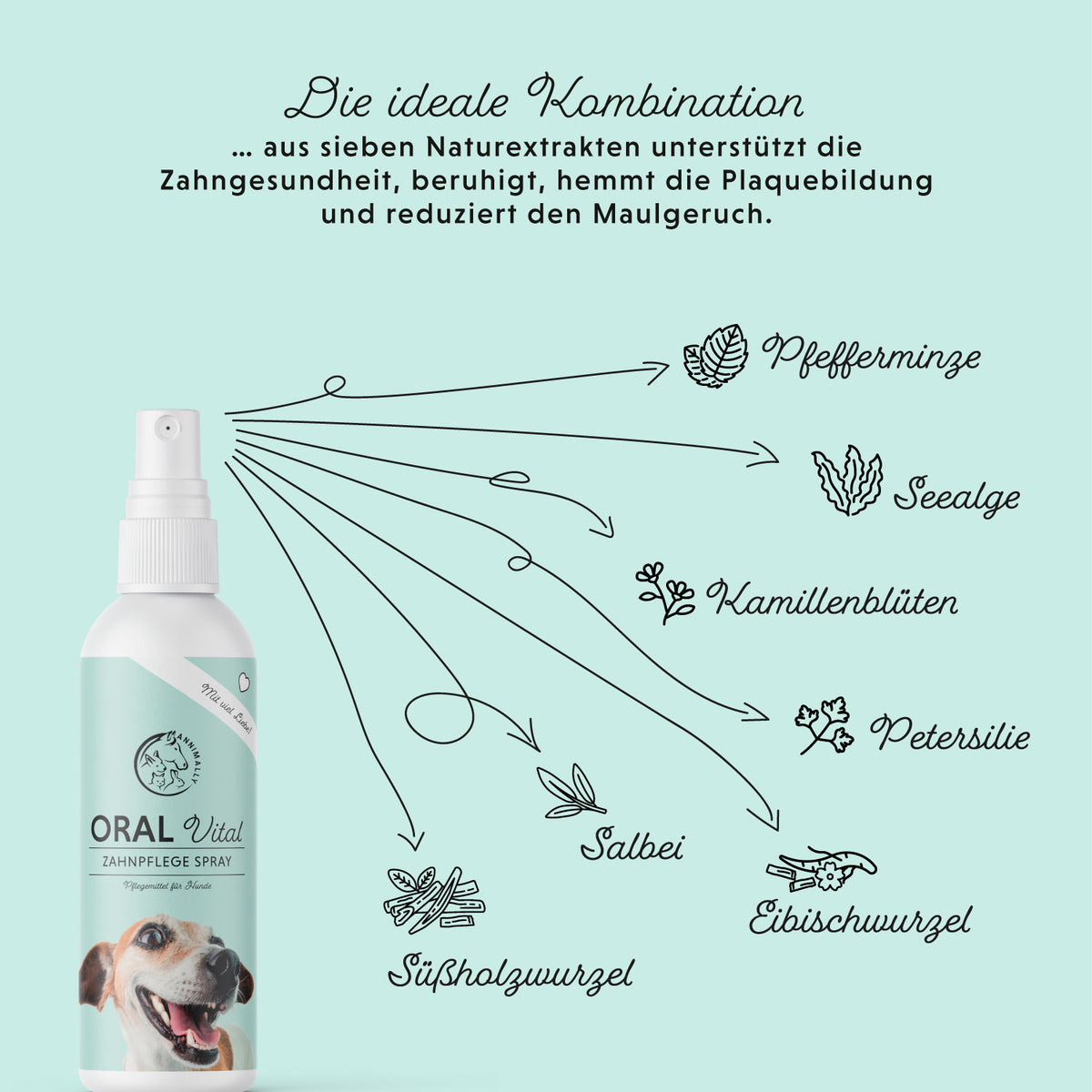 Oral Vital Spray für gesunde Zähne & frischen Atem – Pflegeprodukt für Hunde