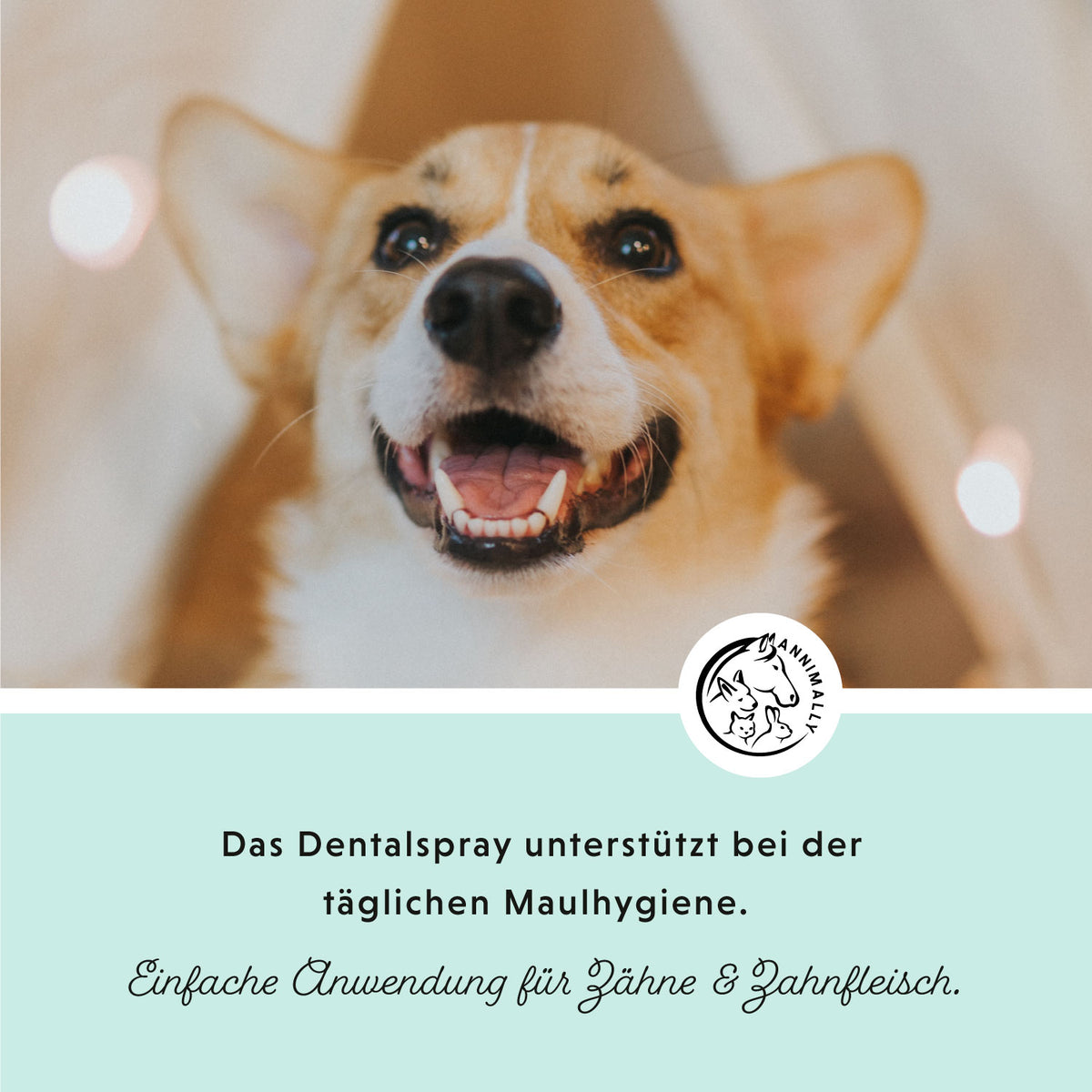 Oral Vital Spray für gesunde Zähne & frischen Atem – Tierpflege für Hunde